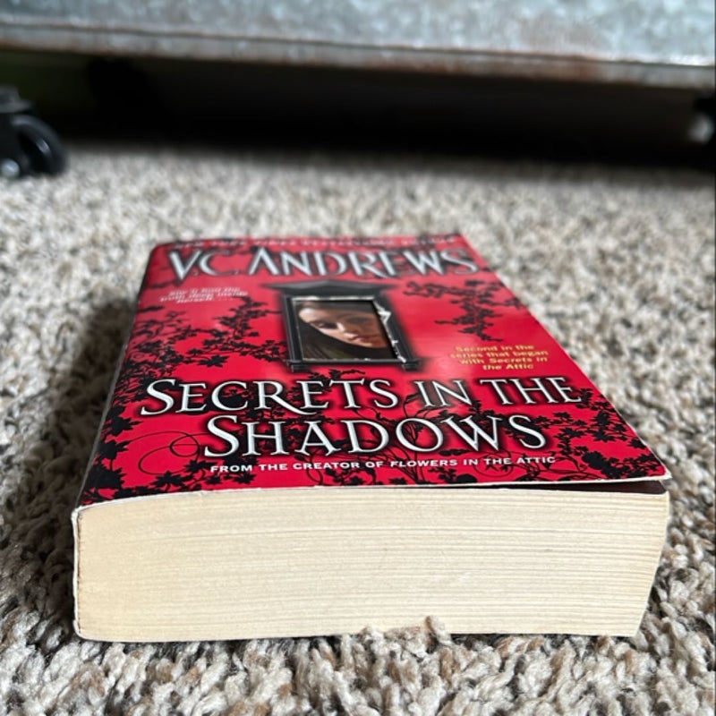 Secrets in the Shadows (vintage Stepback )