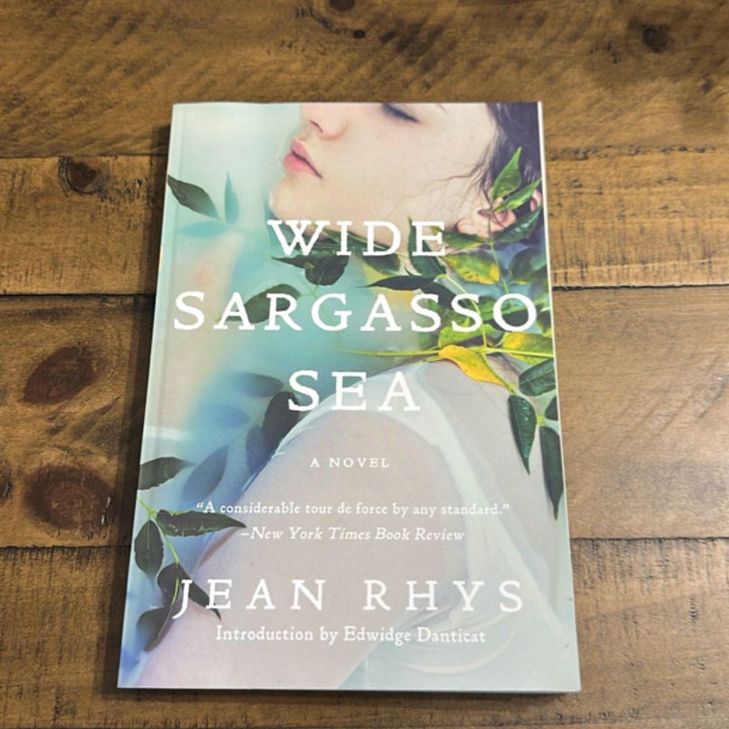 Wide Sargasso Sea