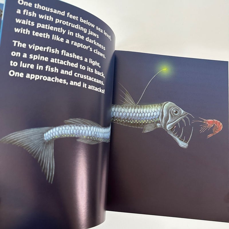 A Day in the Deep, Signed