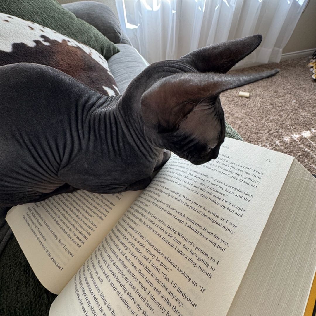MorganReads