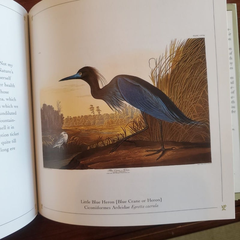 Audubon's Art and Nature