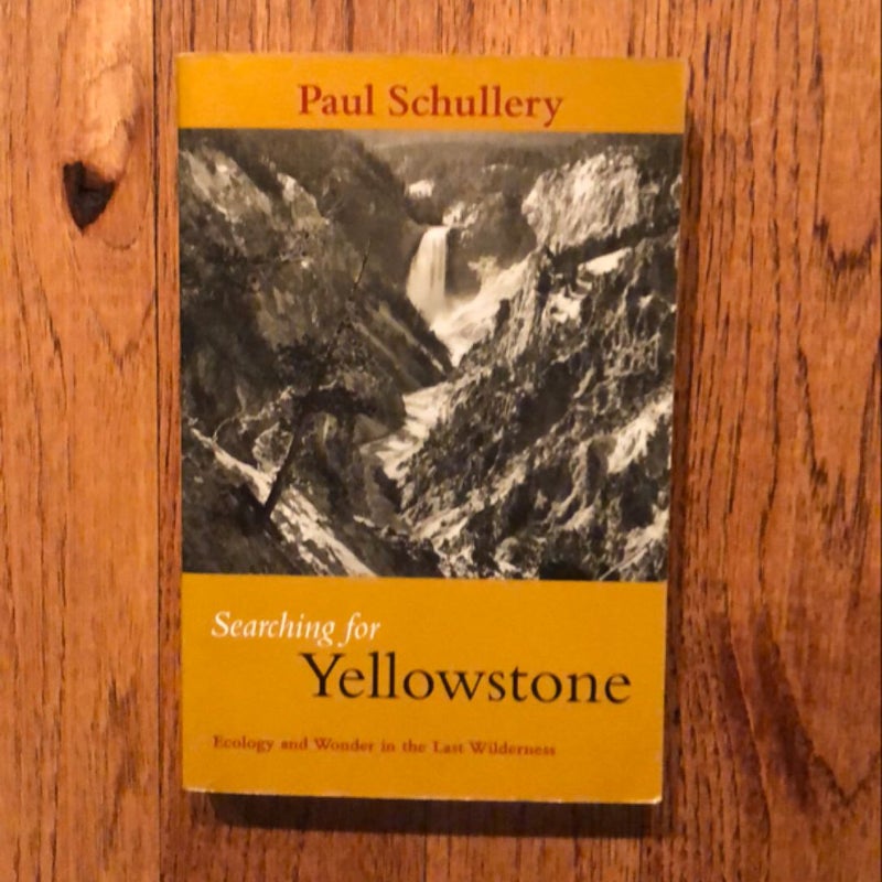 Searching for Yellowstone