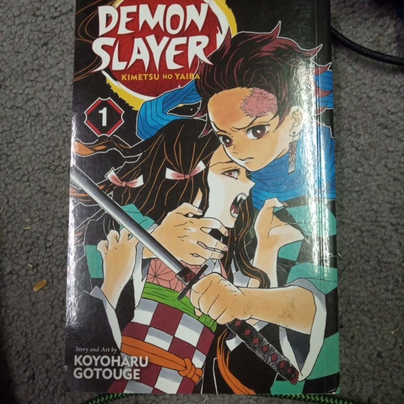 Demon Slayer 1-4 and Novella