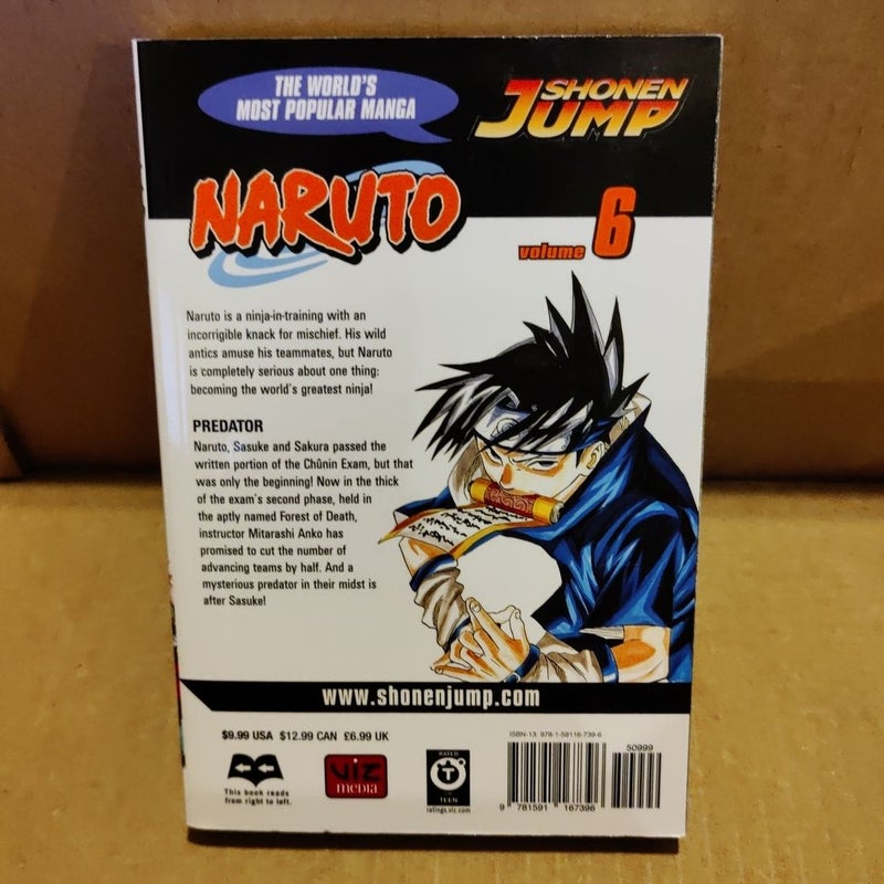 Naruto, Vol. 6