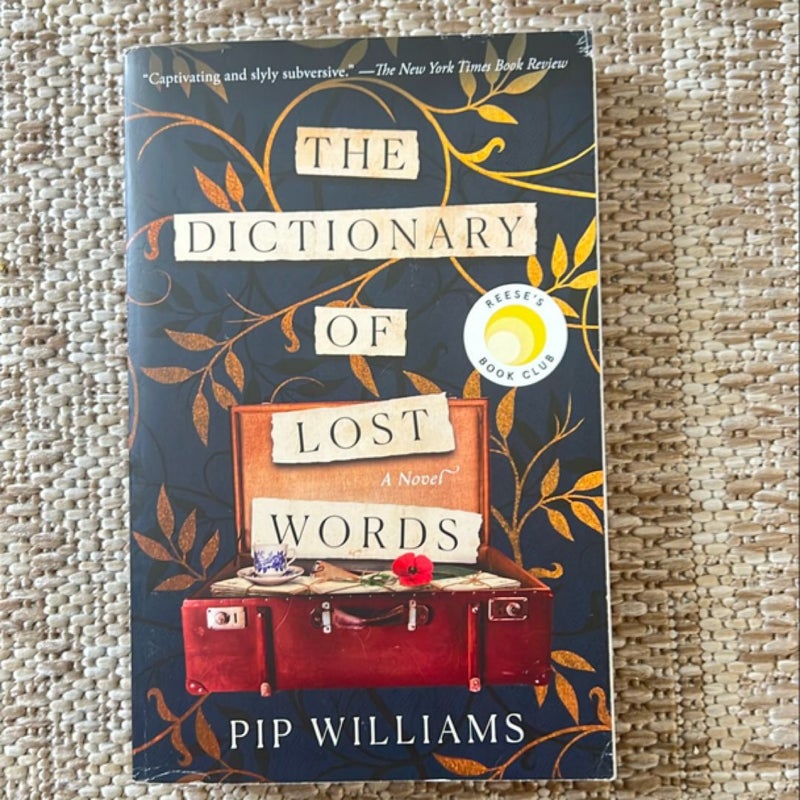 The Dictionary of Lost Words