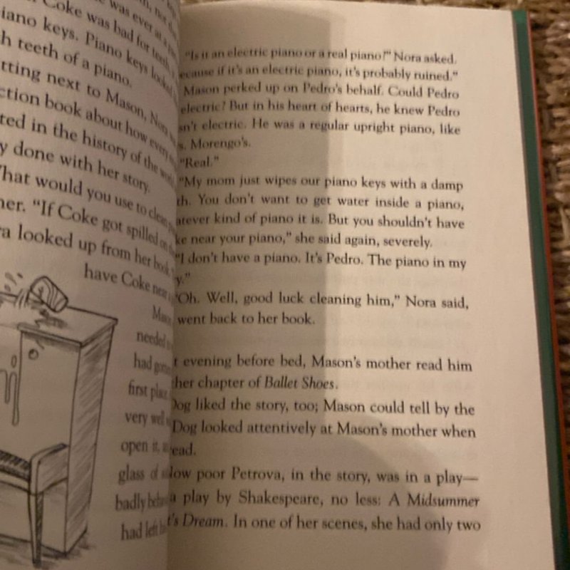 Fourth-Grade Disasters