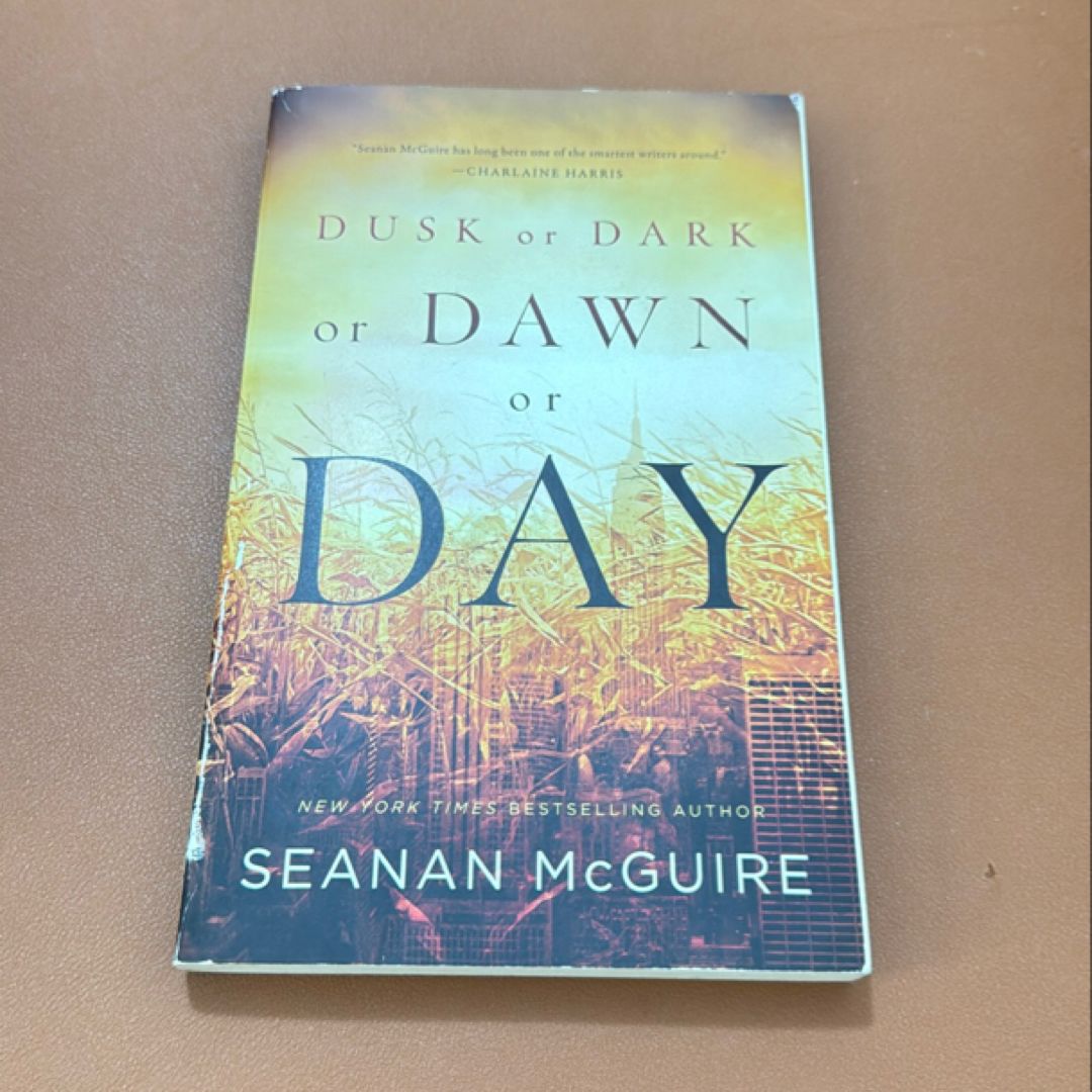 Dusk or Dark or Dawn or Day