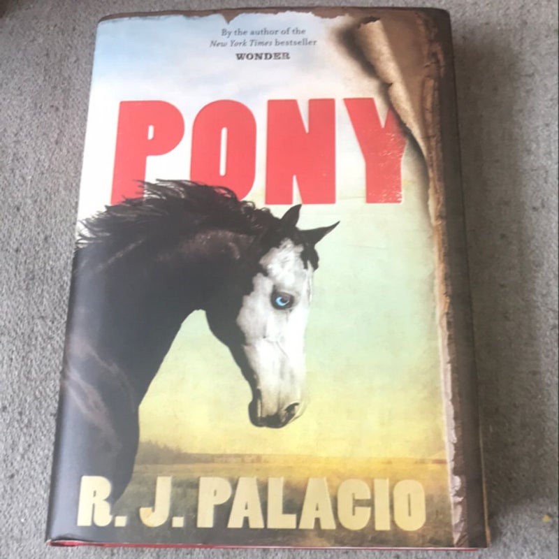 Pony