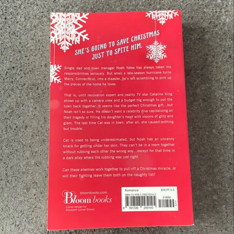 The Christmas Fix