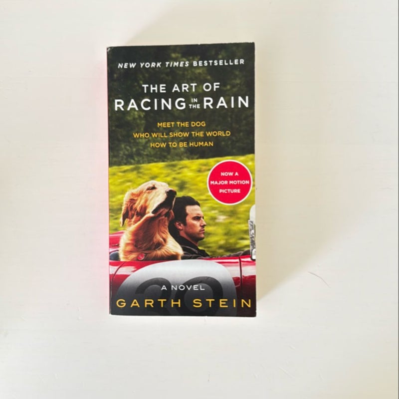 The Art of Racing in the Rain Movie Tie-In Edition