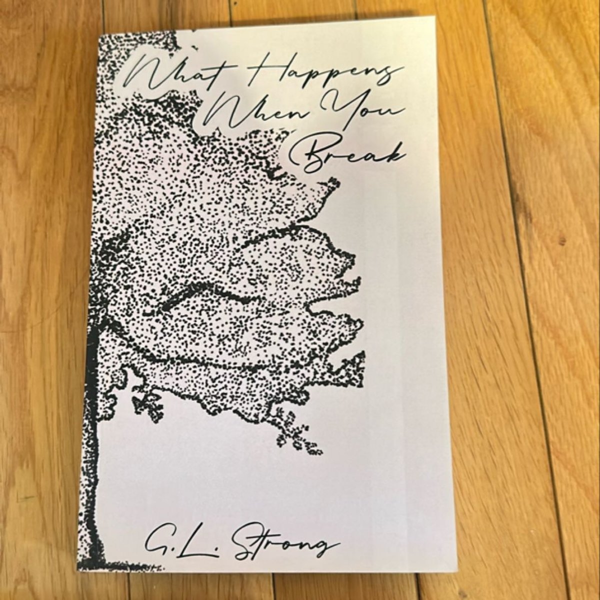 What Happens When You Break By G L Strong