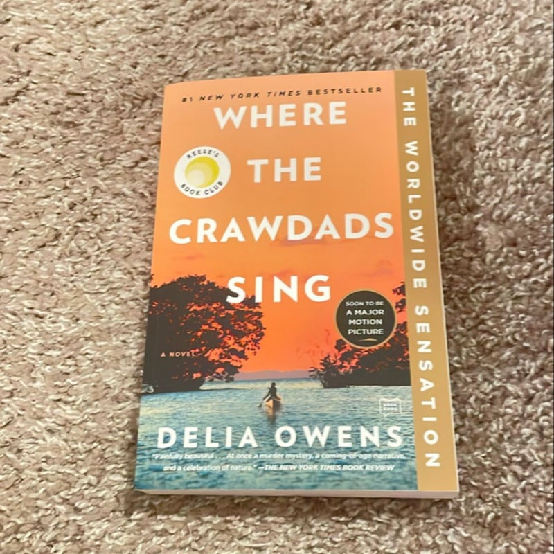 Where the Crawdads Sing