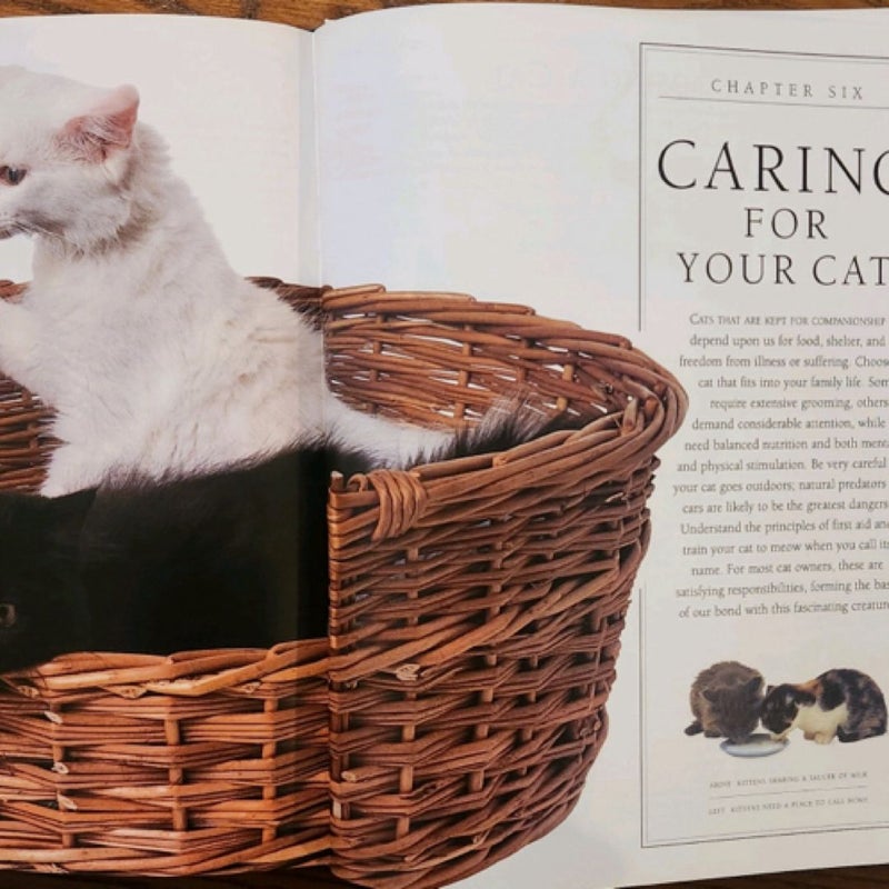 The Encyclopedia of the Cat