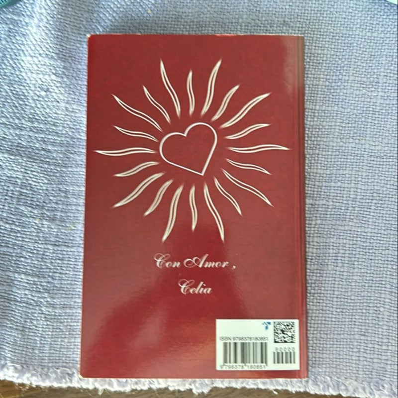 Diary of a Romántica: Volume II