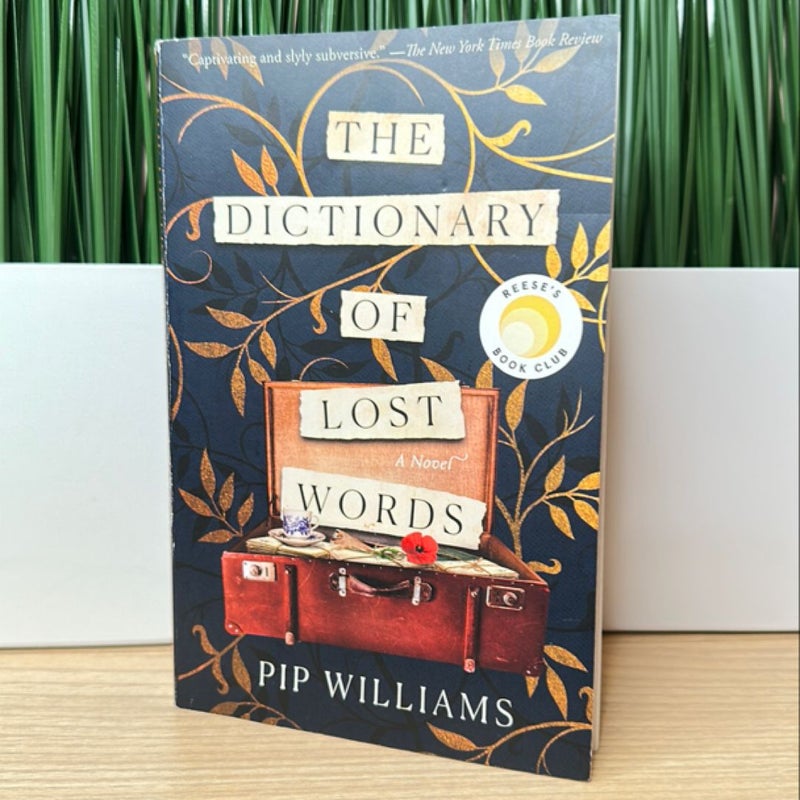 The Dictionary of Lost Words