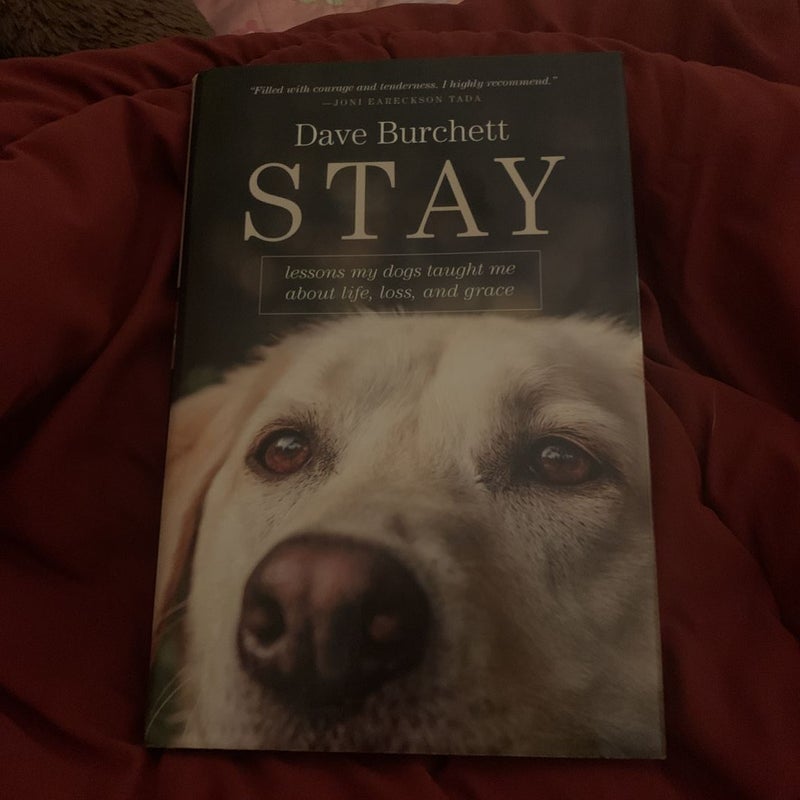 Stay