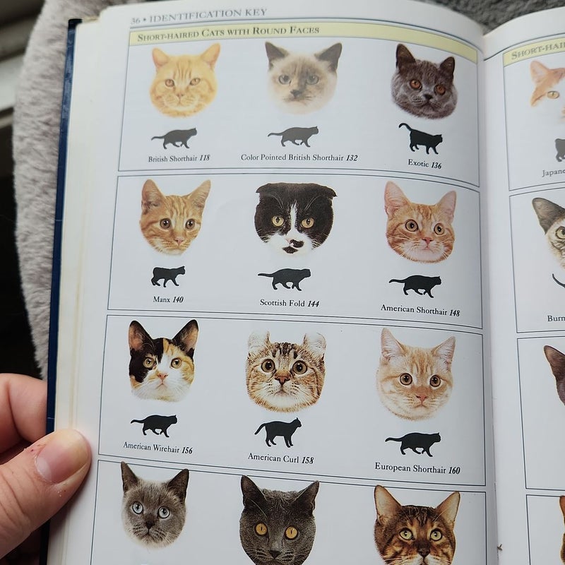 Pearhead Faces Jounal Cat Head Notebook