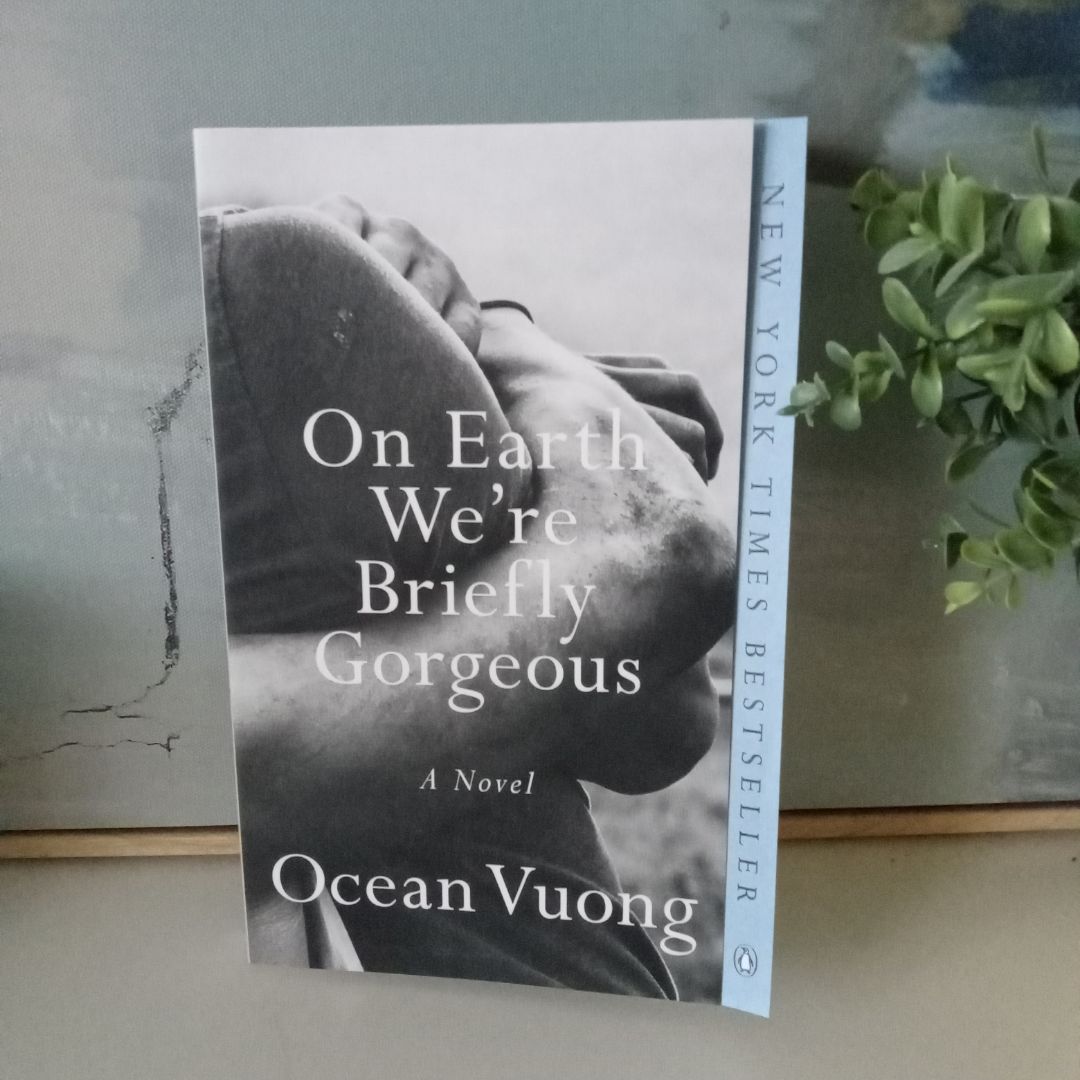 On Earth We're Briefly Gorgeous