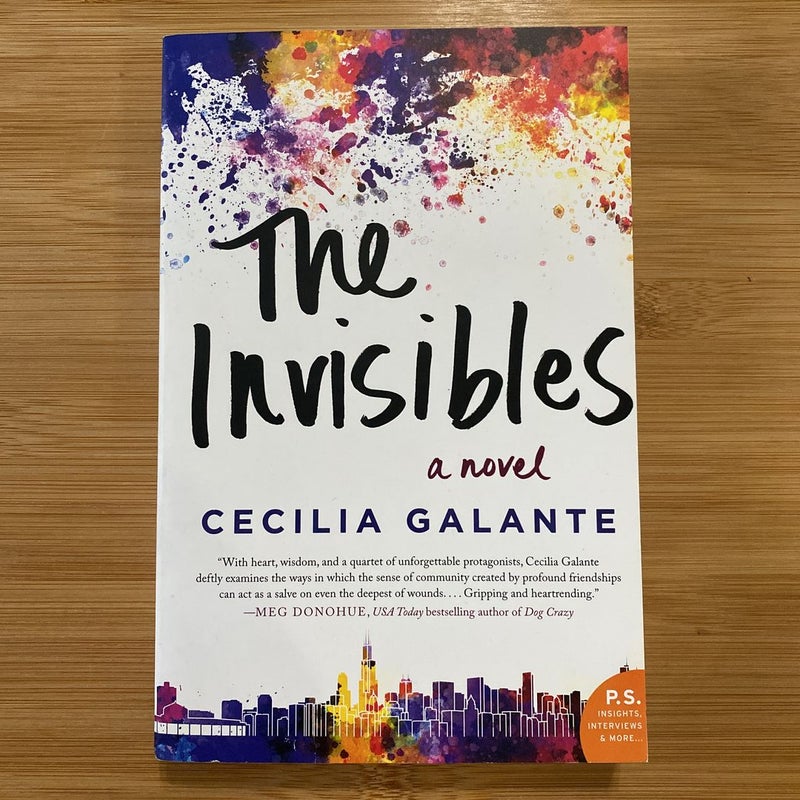 The Invisibles