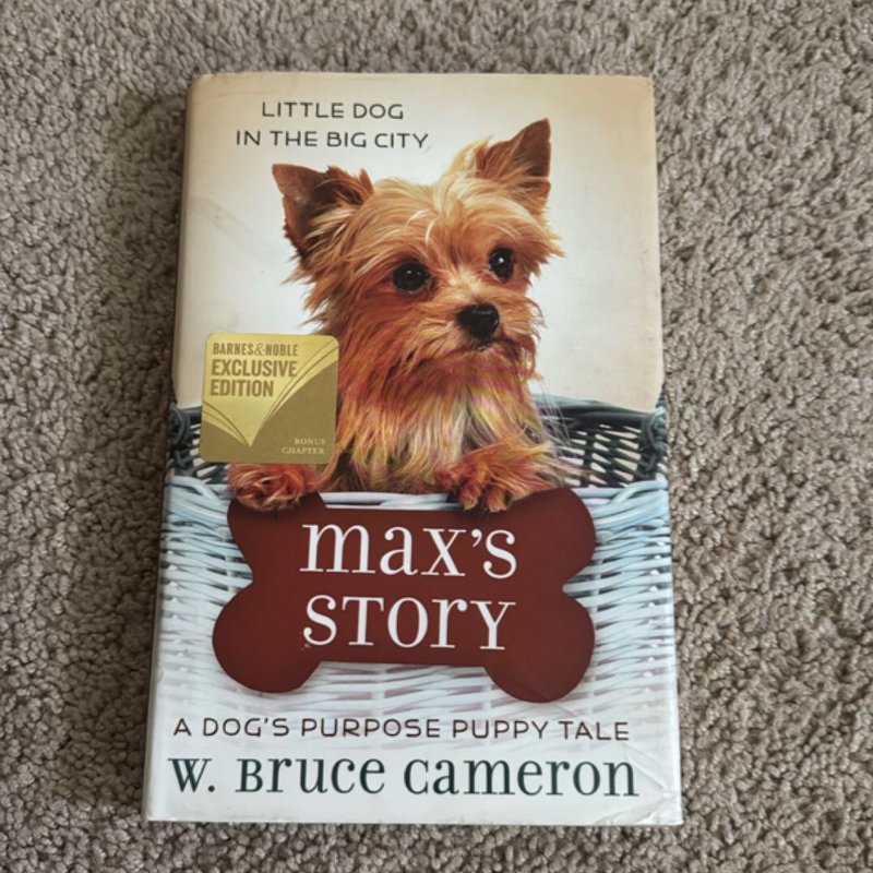 Max’s Story by W, Hardcover | Pangobooks