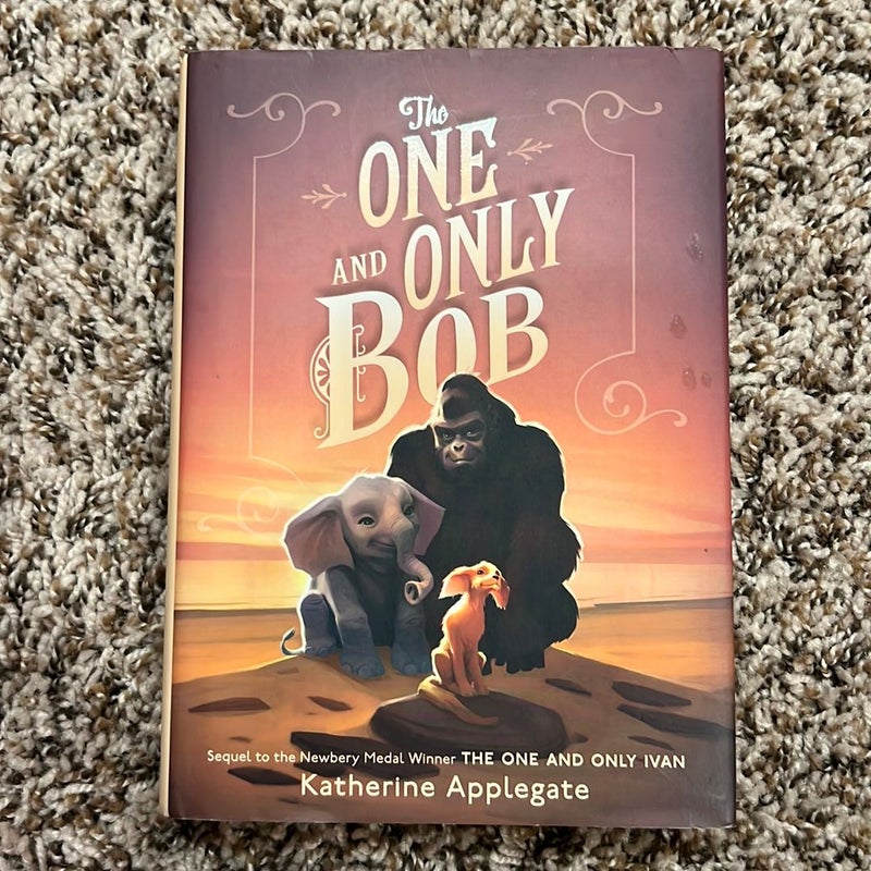 The One and Only Bob: Applegate, Katherine, Castelao, Patricia:  9780062991317: : Books