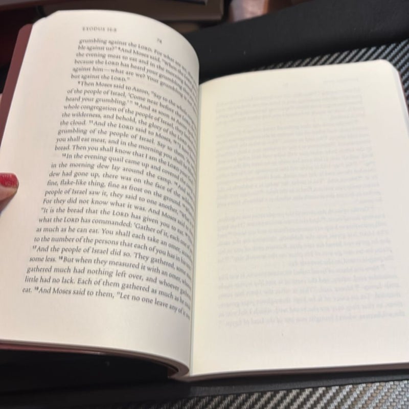 Illuminated scripture Journal