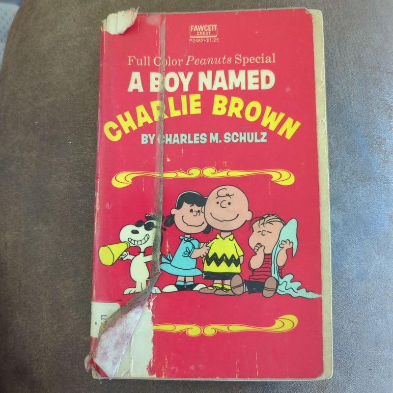 A Boy Named Charlie Brown 