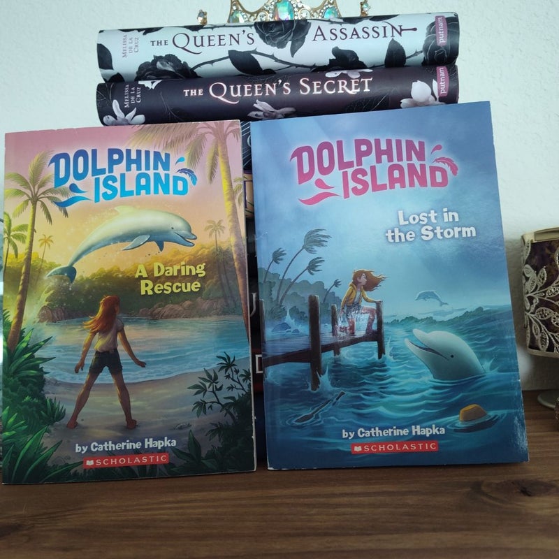 A Daring Rescue (Dolphin Island #1) and #2