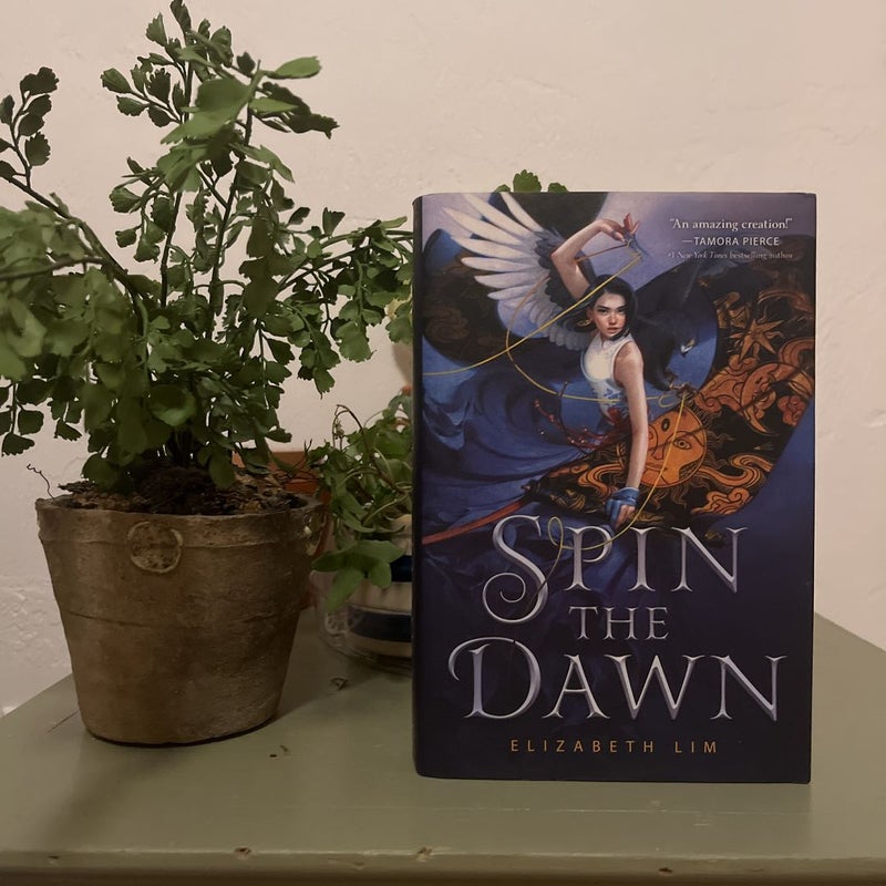 Spin the Dawn