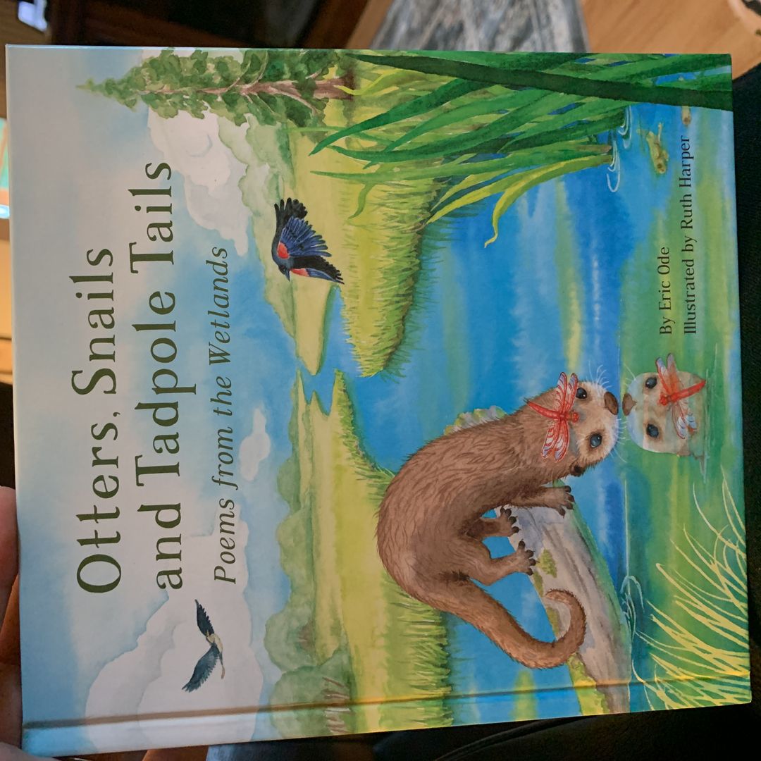 Otters, Snails and Tadpole Tails