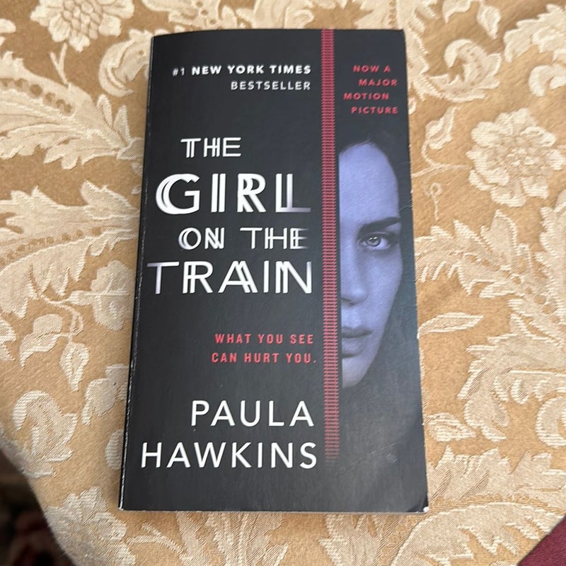 The Girl on the train 