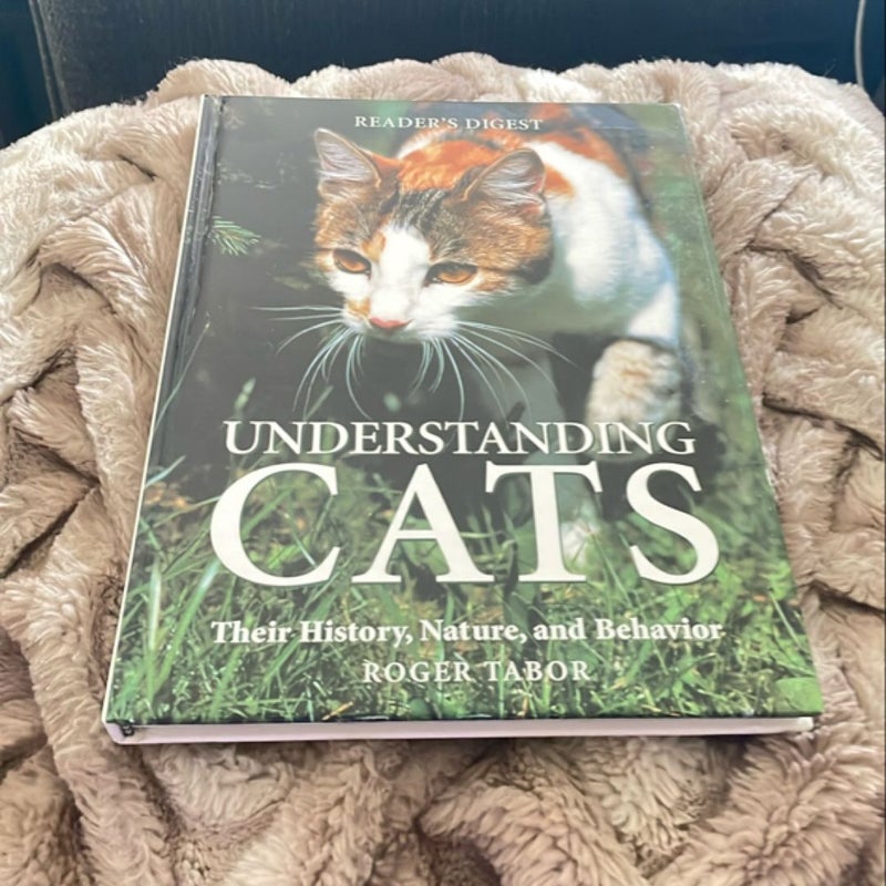 Understanding Cats