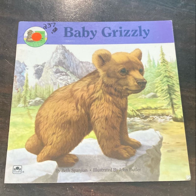 Baby Grizzly