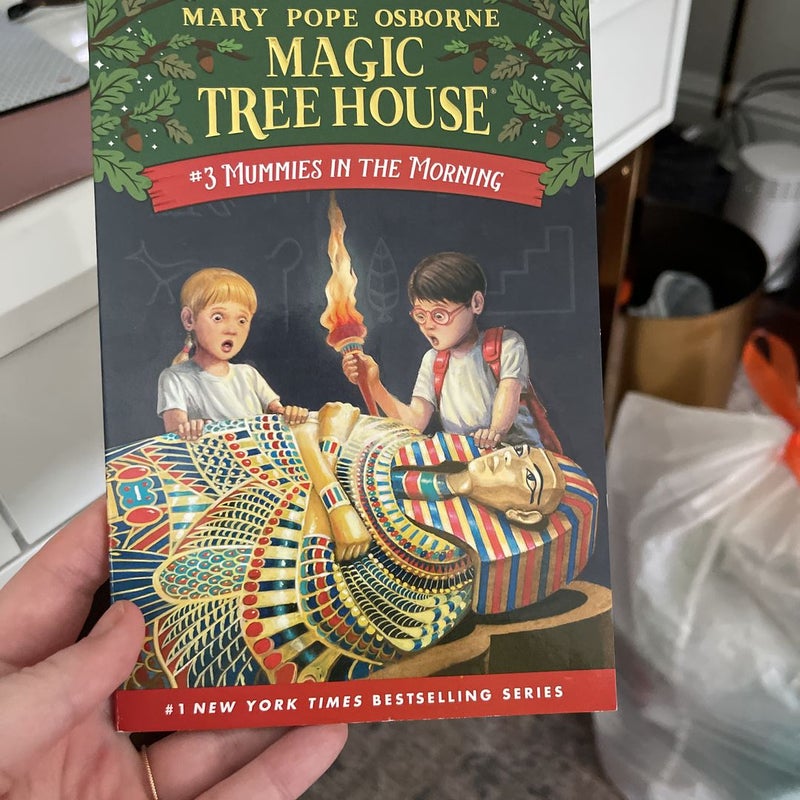 Set of Eleven Magic Treehouse Books