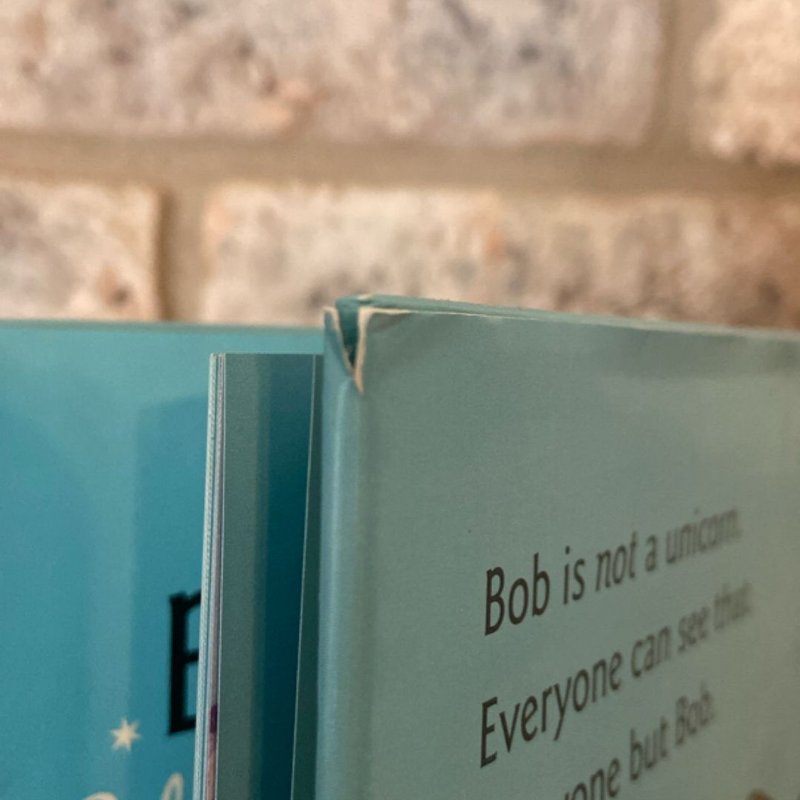 Bob Is a Unicorn