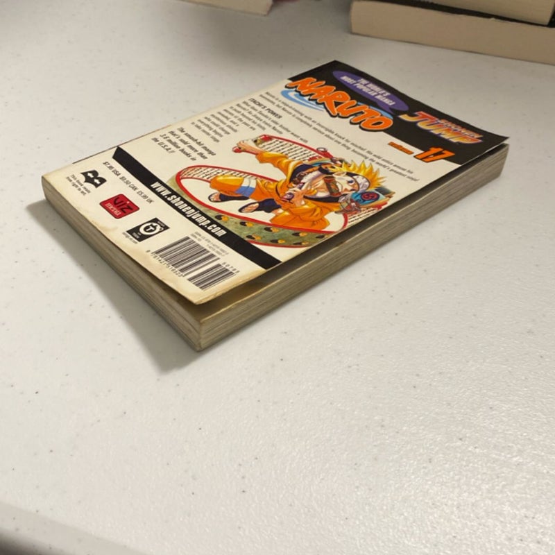 Naruto, Vol. 17