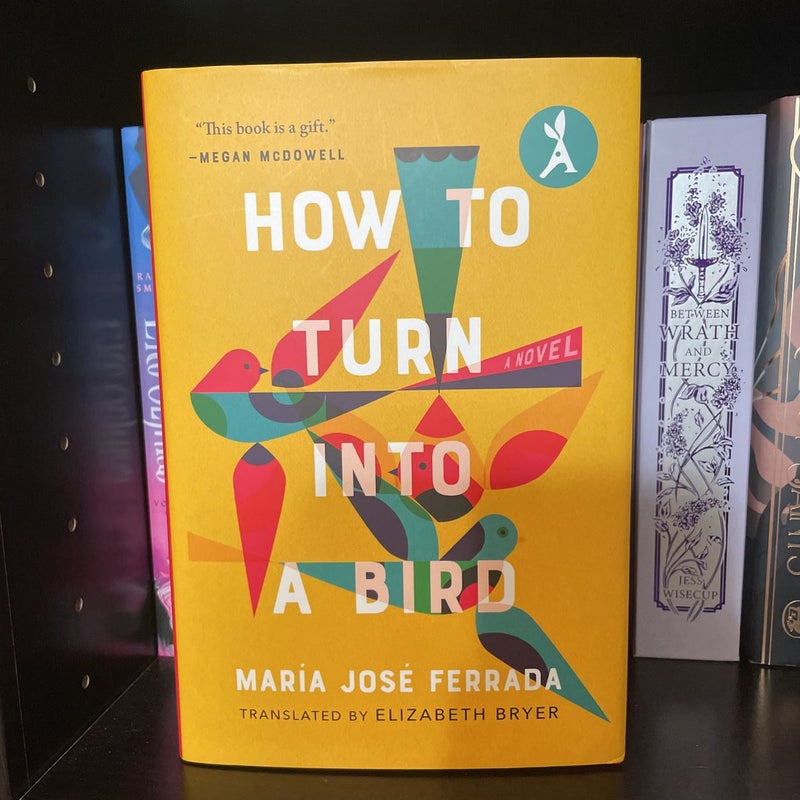 How to Turn into a Bird by Elizabeth Bryer, María José Ferrada