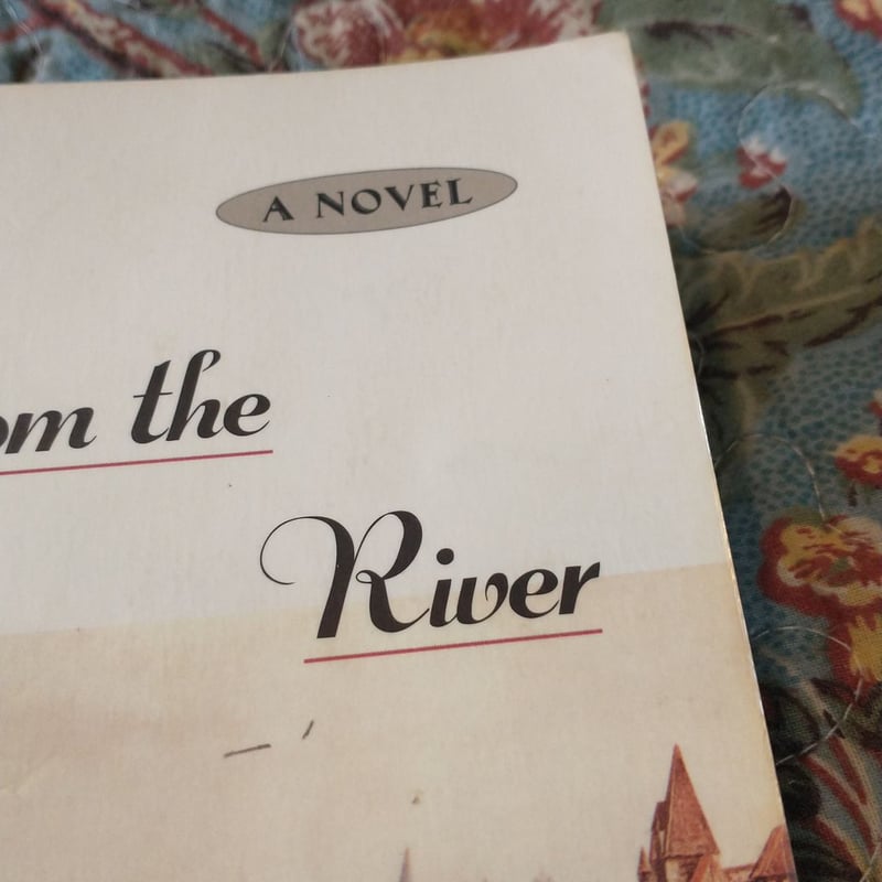 Stones from the River