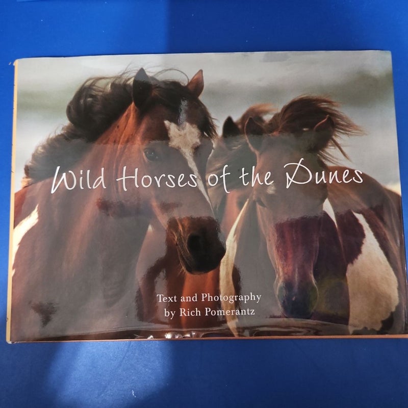 Wild Horses of the Dunes