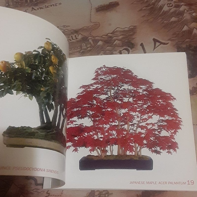Bonsai Today's Pocket Bonsai Gallery
