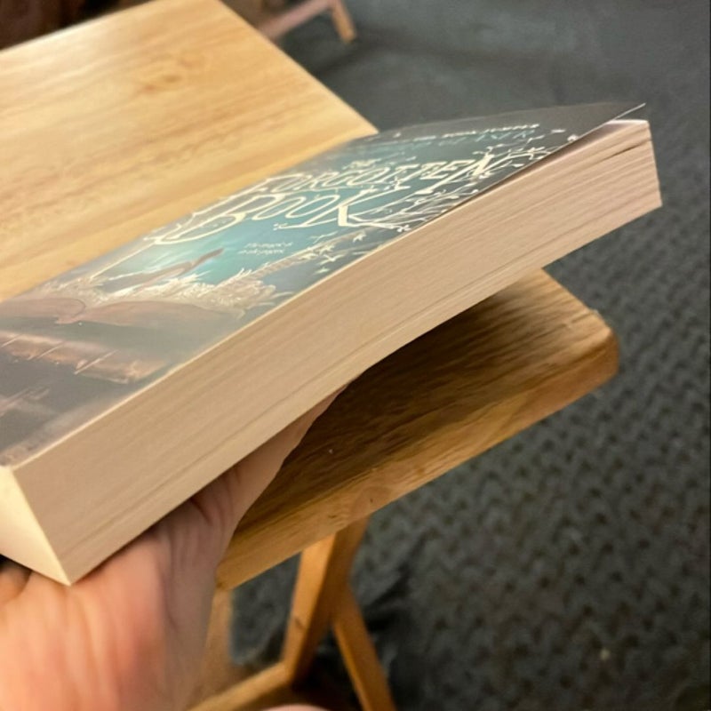 The Forgotten Book