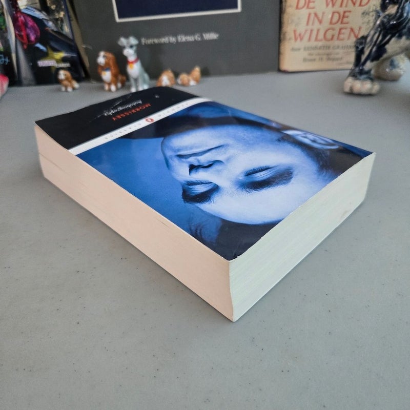 Morrissey Autobiography