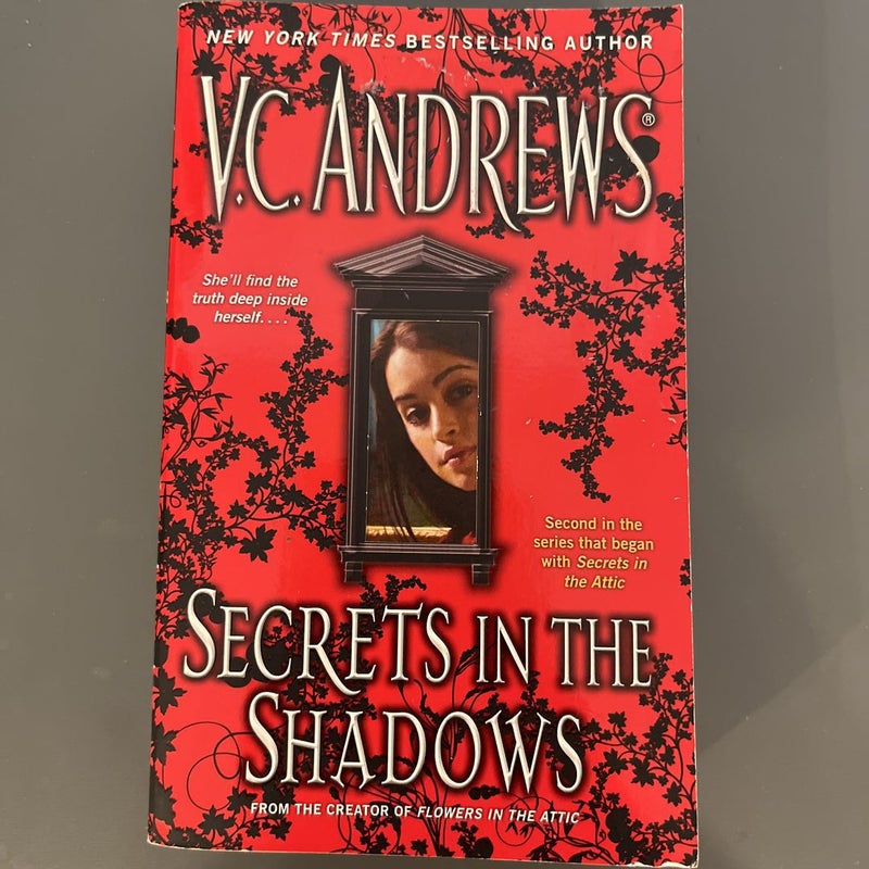 Secrets in the Shadows