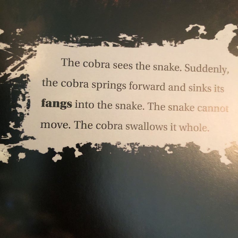 Cobras Killer Animals