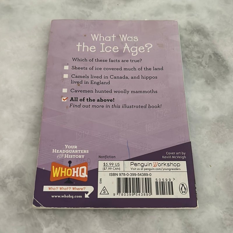 What Was the Ice Age?