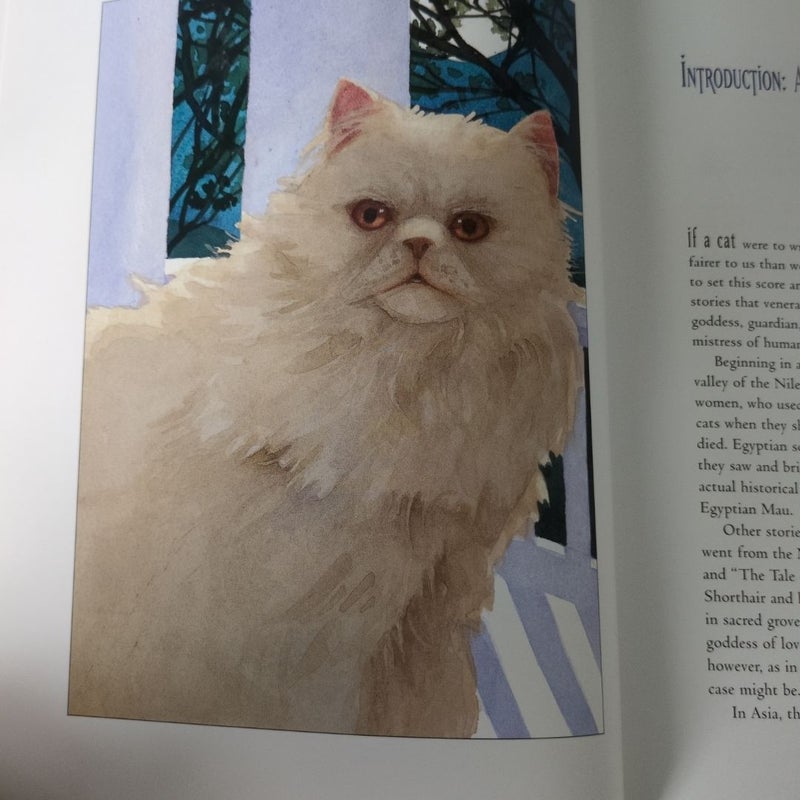 Cats of Myth