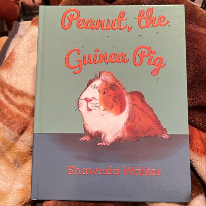 Peanut, the Guinea Pig