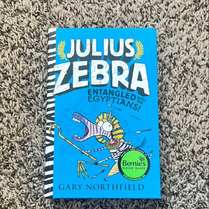 Julius Zebra: Entangled with the Egyptians!