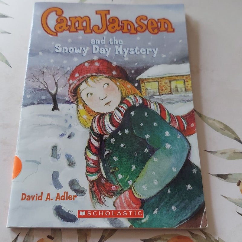 Cam Jansen and the Snowy Day Mystery