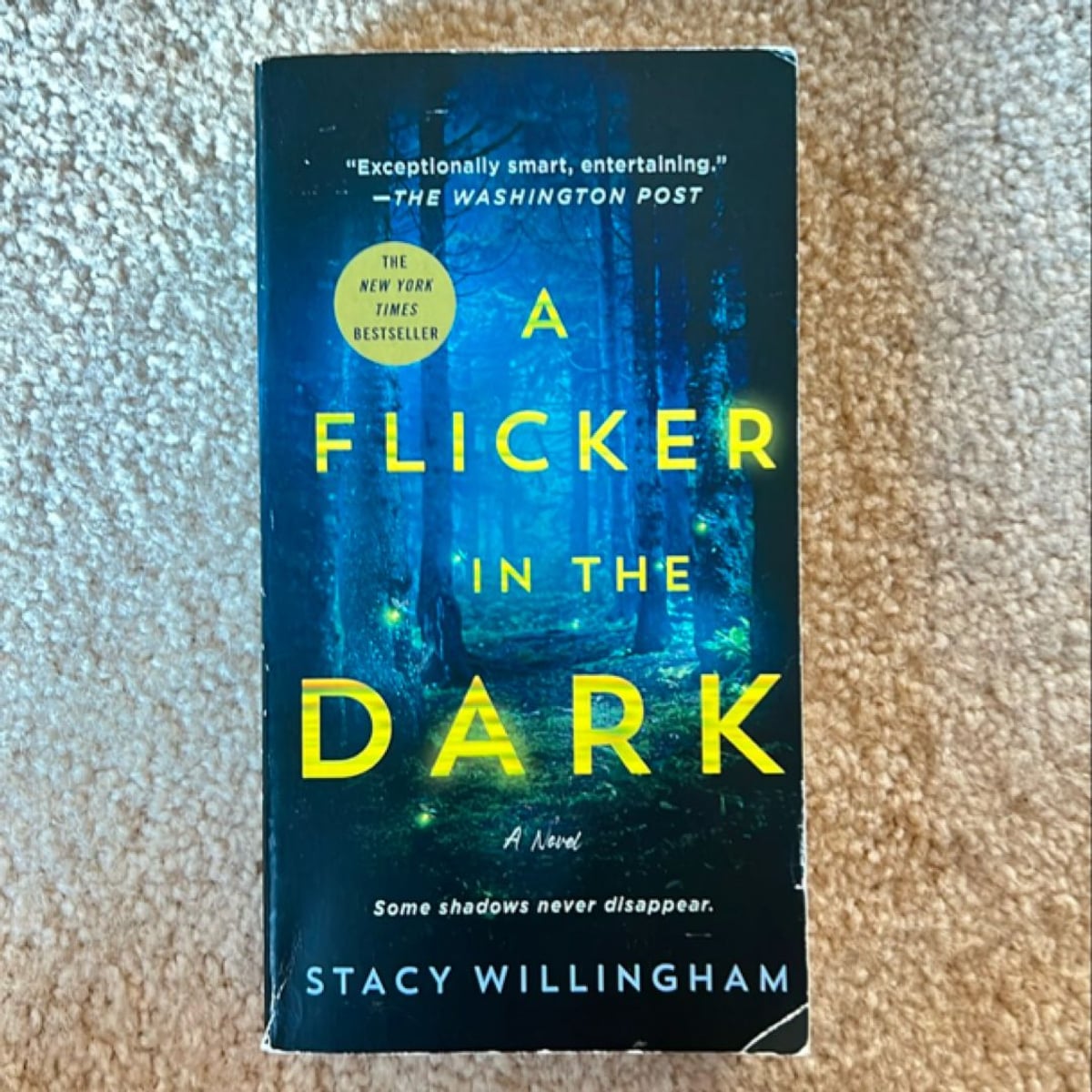 A Flicker in the Dark by Stacy Willingham
